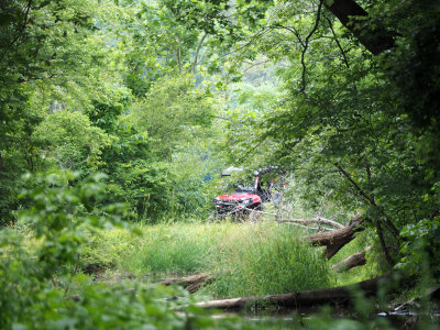 Unusual traffic on the trail