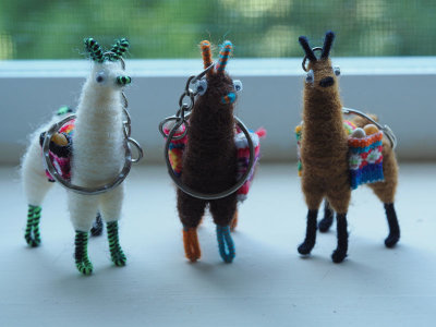 Three llamas on a windowsill