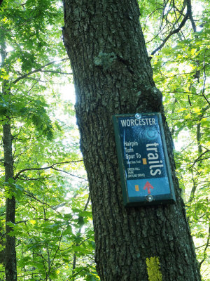 Worcester trails