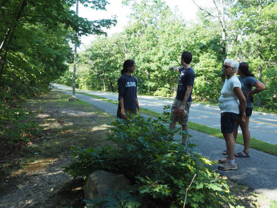 Urban hiking in Green Hill park