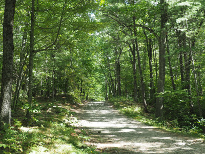 Headed to Rocky Pond in Leominster State Park