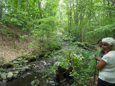 On the East Side Trail heading to Quinsigamond Lake