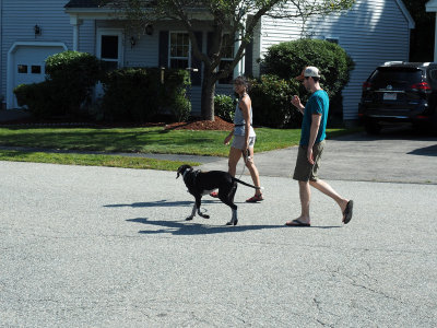 Going for a walk
