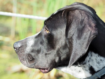 Lucy - profile