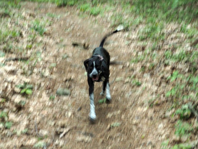 Incoming!