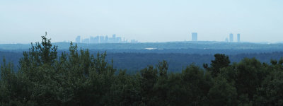 Boston Skyline from Holt Hill