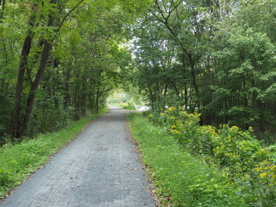 Approaching the parking lot at Dickerson Conservation Area