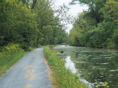 Trail near Dickerson power plant