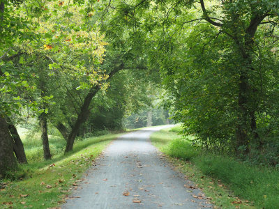 On the trail