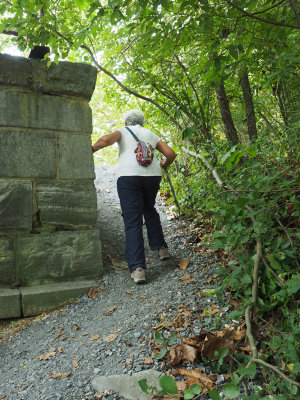 Climbing back to the towpath from the creek