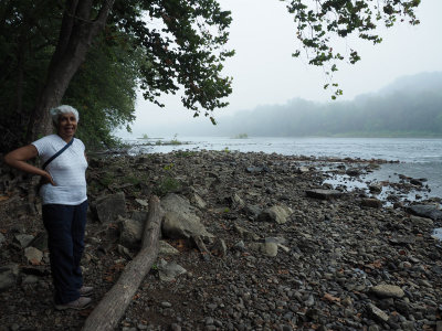 Early morning by the river
