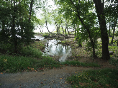 The culvert where we climbed back to the towpath during our return