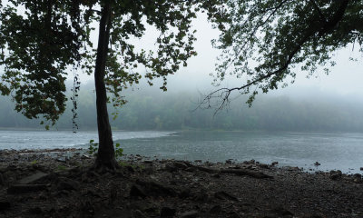 Early morning by the side of the Potomac river