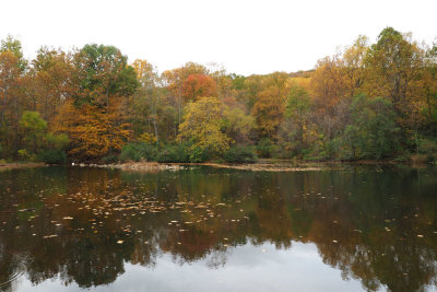 A pond in Thurmont