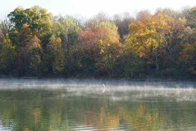 October 18th - Early morning on the Potomac at Four Locks
