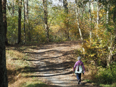 On the trail near lock 46