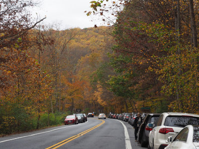 Cars parked outside Catoctin Mountain Park