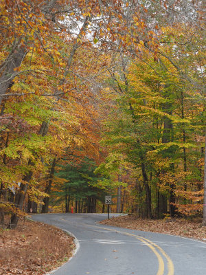 The road into Catoctin Mountain Park