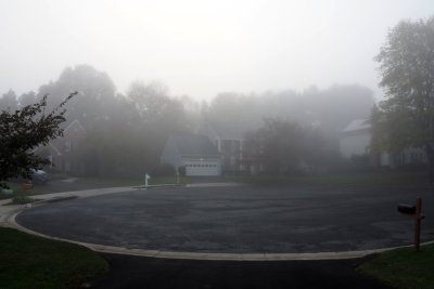 The foggy morning in our neighborhood