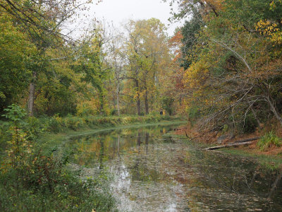 Canal in the early fall