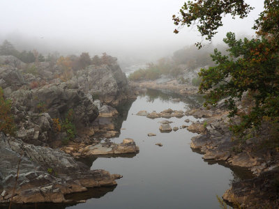 The Potomac gorge in the fog