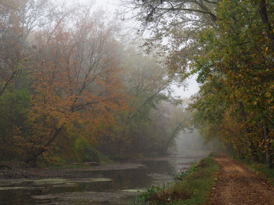 A foggy morning in early fall