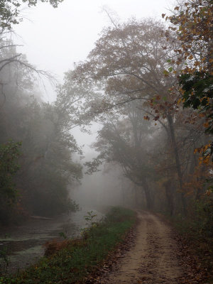 Foggy darkness on the trail in the morning