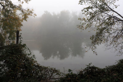 Across the river in the fog