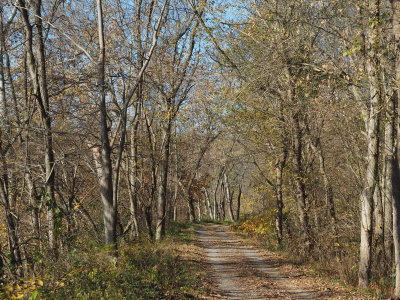 On the trail west of Williamsport