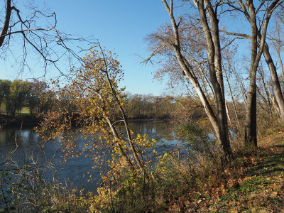 The river beside the trail