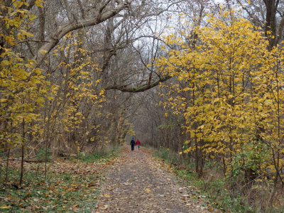 Some color at the end of fall