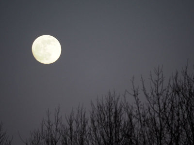 The night before the full moon