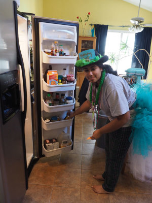The kitchen fridge