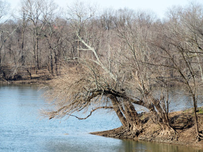 A corner of the Potomac and the Monocacy rivers