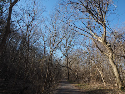 The trail near White's Ferry