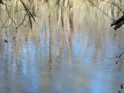 Reflections in the river