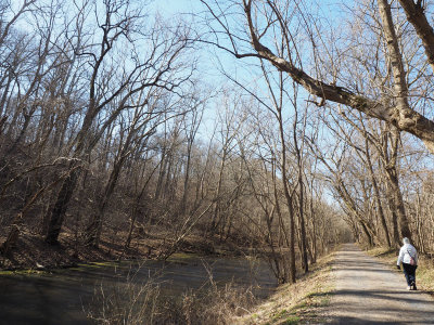 On the trail