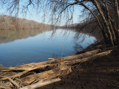 The Potomac river near Dargan Bend