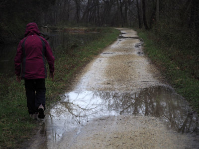 Wet trail
