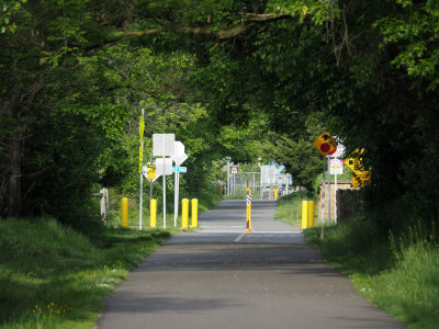 Section of trail