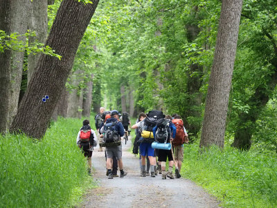 A group of scouts on the move on the trail