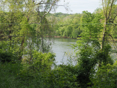 The Schuylkill river from the trail