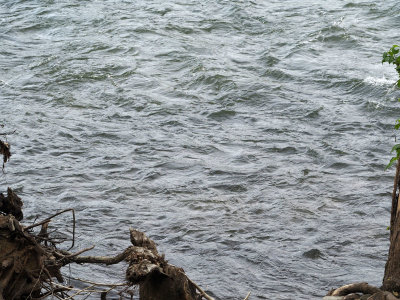 Rough waters of the Potomac river