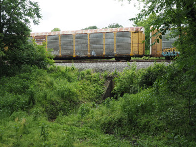 Parked train outside Brunswick railroad yard