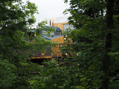 A CSX locomotive moving beyond the trees