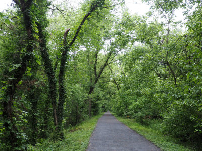 The trail near Brunswick