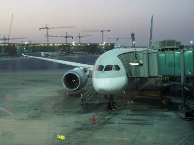 My B787 Qatar Airways aircraft from Doha