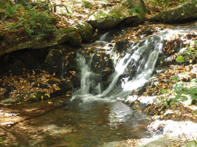 Stream on the trail to Dark Hollow Falls