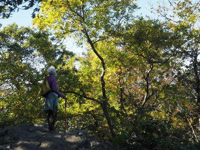On the Appalachian trail returning from Hightop Summit