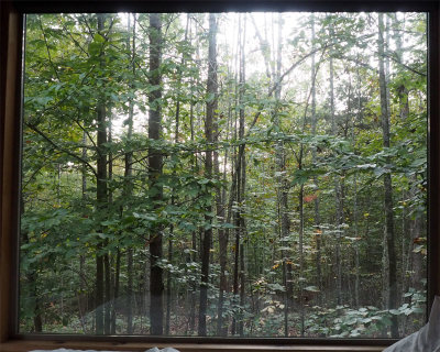 The view from the bed of the Tiny Home